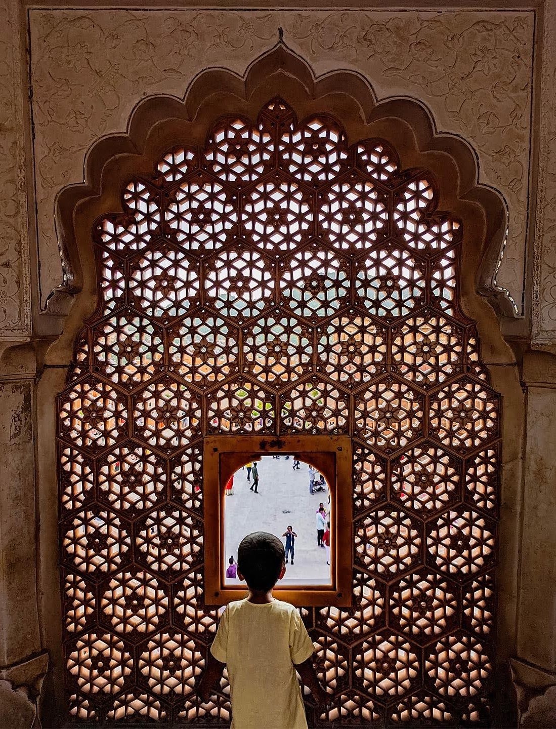 Amer Fort Window